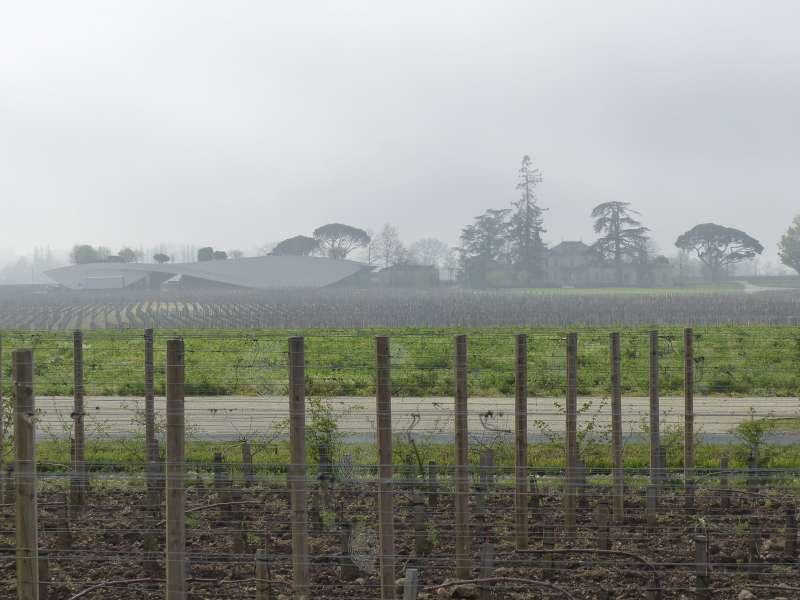 Looking across the Pomerol-Saint Emilion border from L'Evangile to Cheval Blanc.