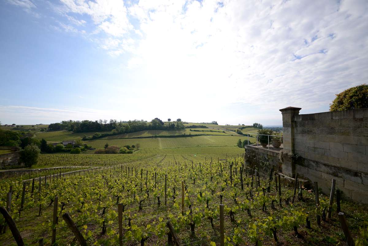 The vineyards of St Emilion