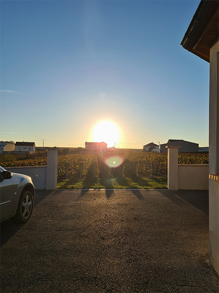The sun sets over Ambonnay