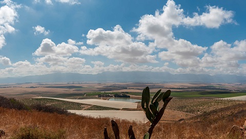 /img/offers/2338/Porseleinberg-Syrah,-Boekenhoutskloof-Vineyard-Shot.jpg