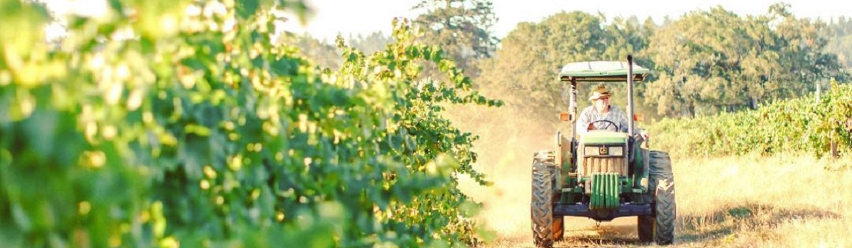 George Bohan, whose vineyard is the source of the fruit for the Kutch Chardonnay